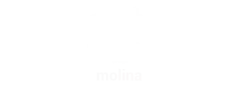 Opti Max